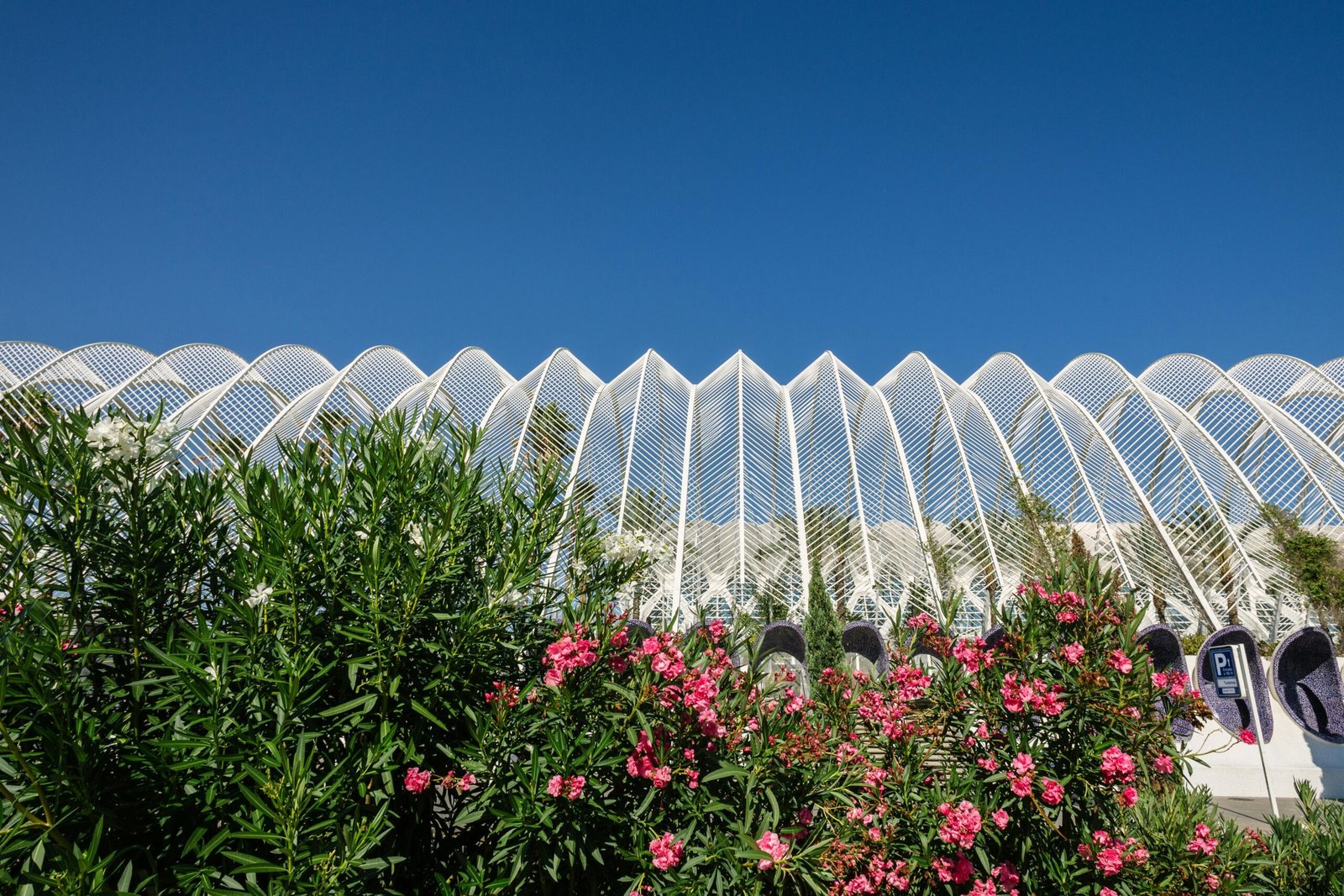 Runners in Turia Park Valencia